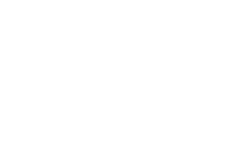 TIAGO SILVA logo